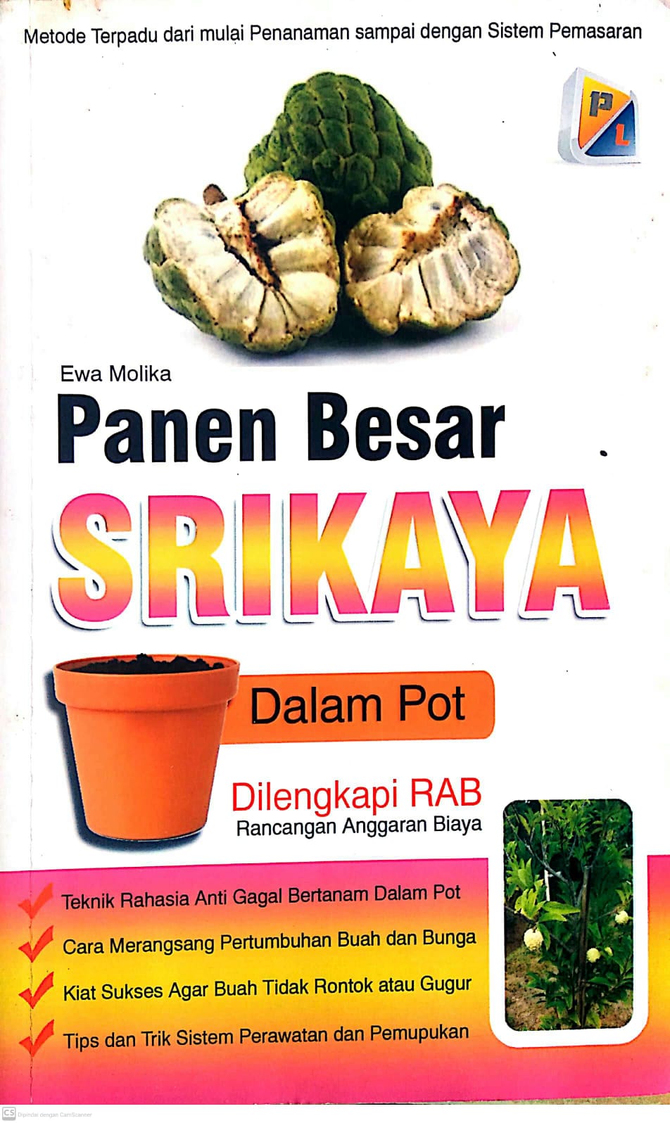Cover Panen Besar Srikaya Dalam Pot