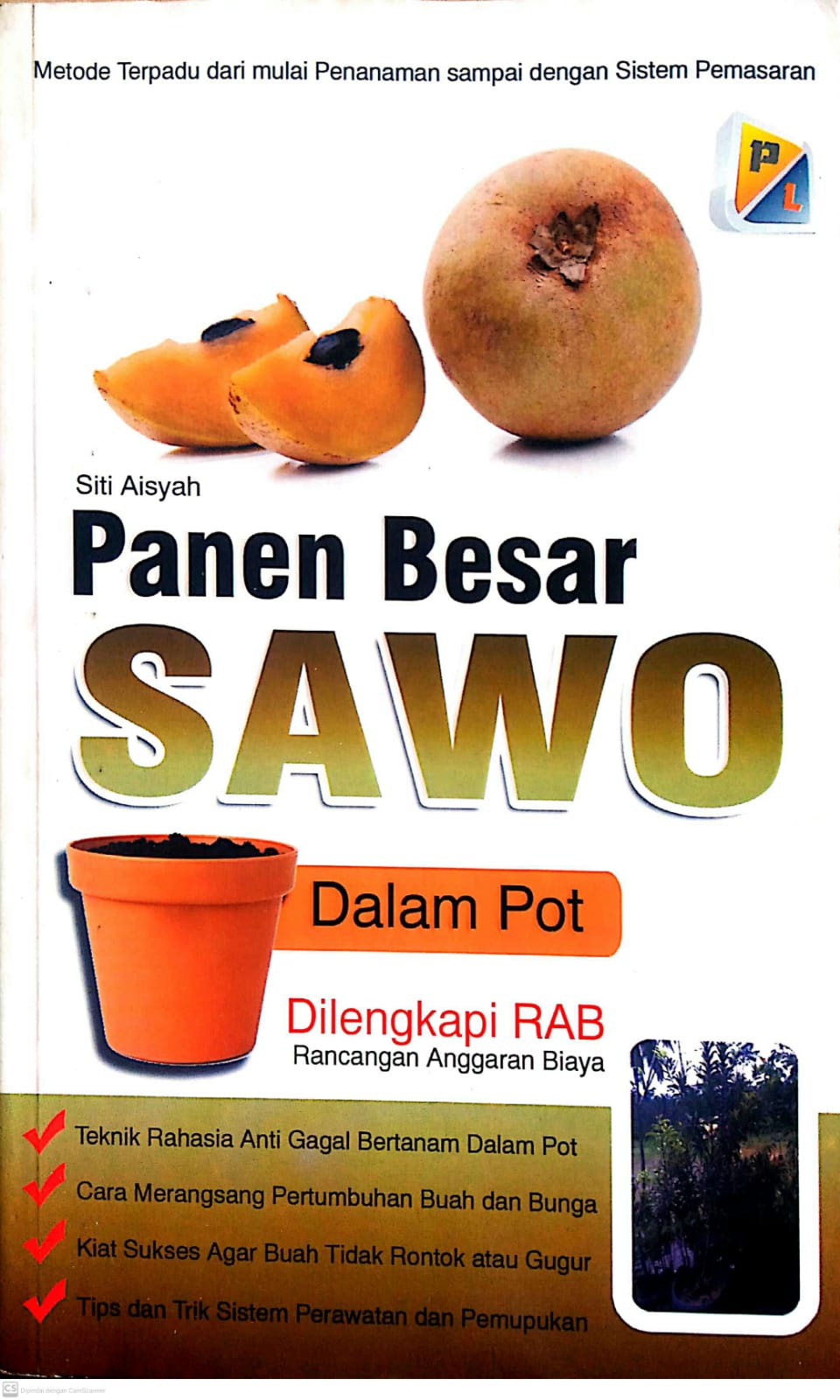 Cover Panen Besar Sawo Dalam Pot