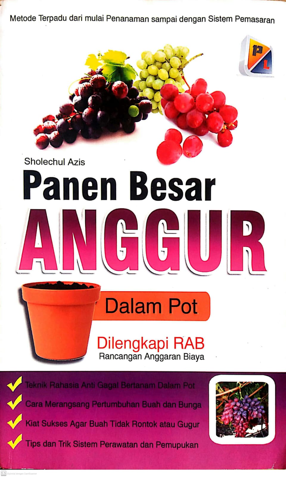 Cover Panen Besar Anggur Dalam Pot