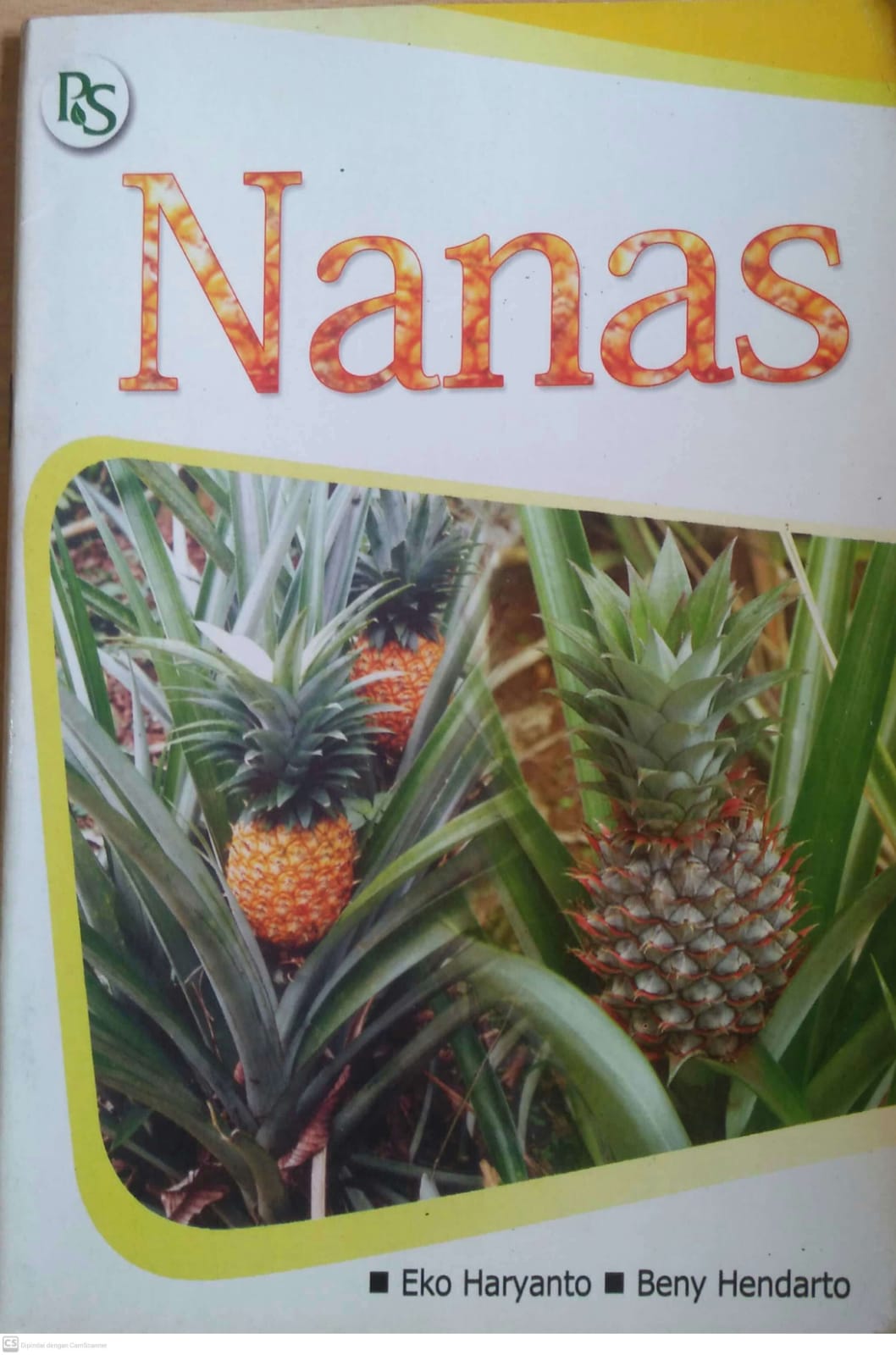 Cover Nanas